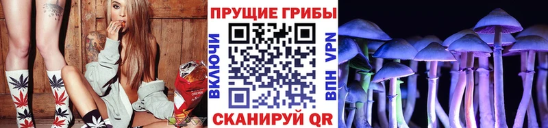 Псилоцибиновые грибы Cubensis  даркнет сайт  Долгопрудный 