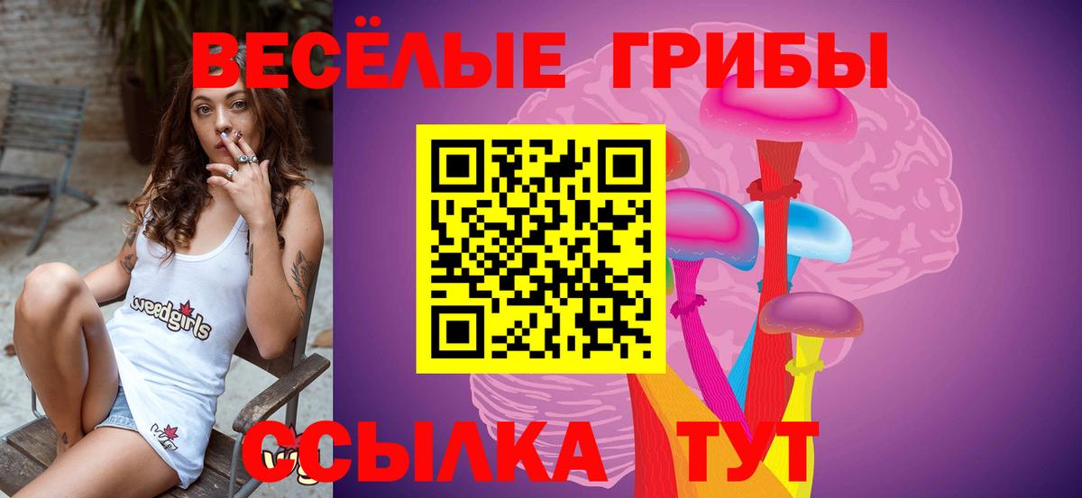 Галлюциногенные грибы Cubensis  Вход с VPN  Долгопрудный 